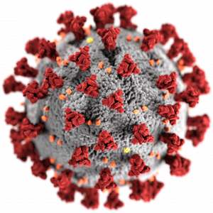 3D Modell des SARS-CoV-2 Virus